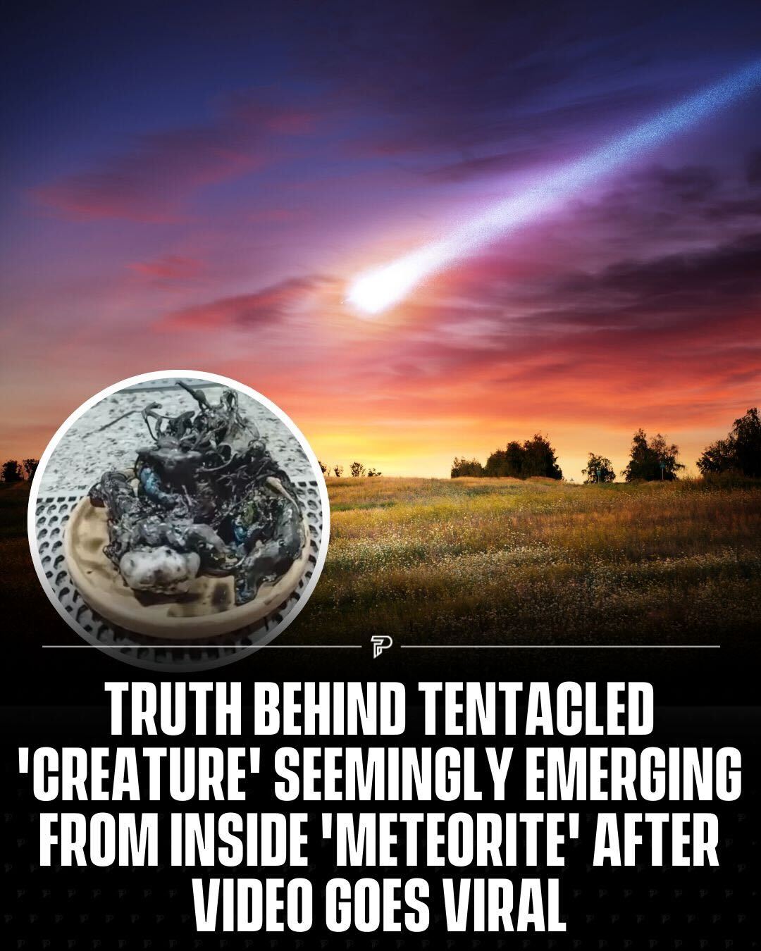 Pubity - Many people's minds immediately went to aliens... | Facebook