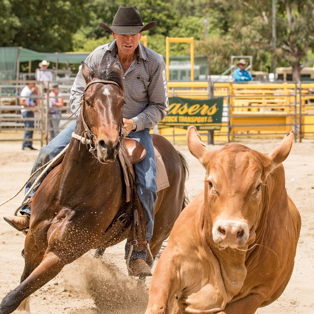 The State of Origin Warwick Show Rodeo... - Australian Rodeos | Facebook