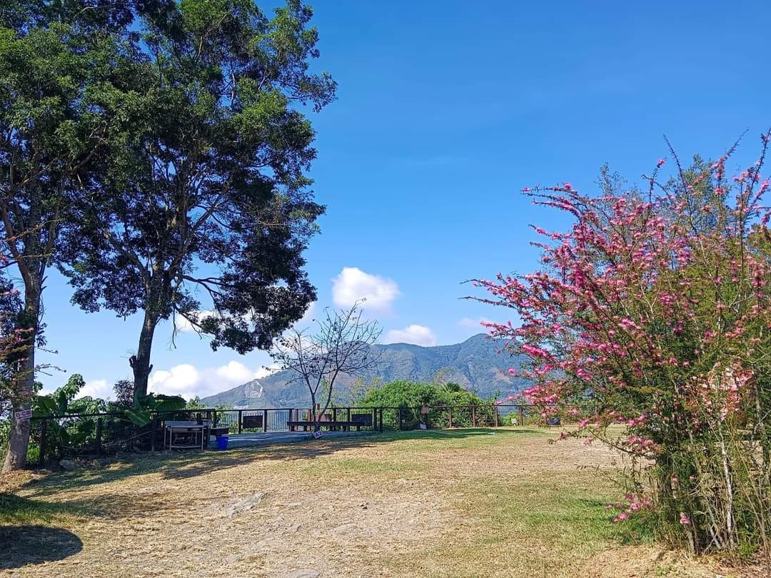 山裡の甜食 - 🎈新年限定包裝禮盒｜奶油甜燒餅｜ #春節限定 結合中式傳統/西式糕點的點心 吃起來有層次的酥皮... | Facebook