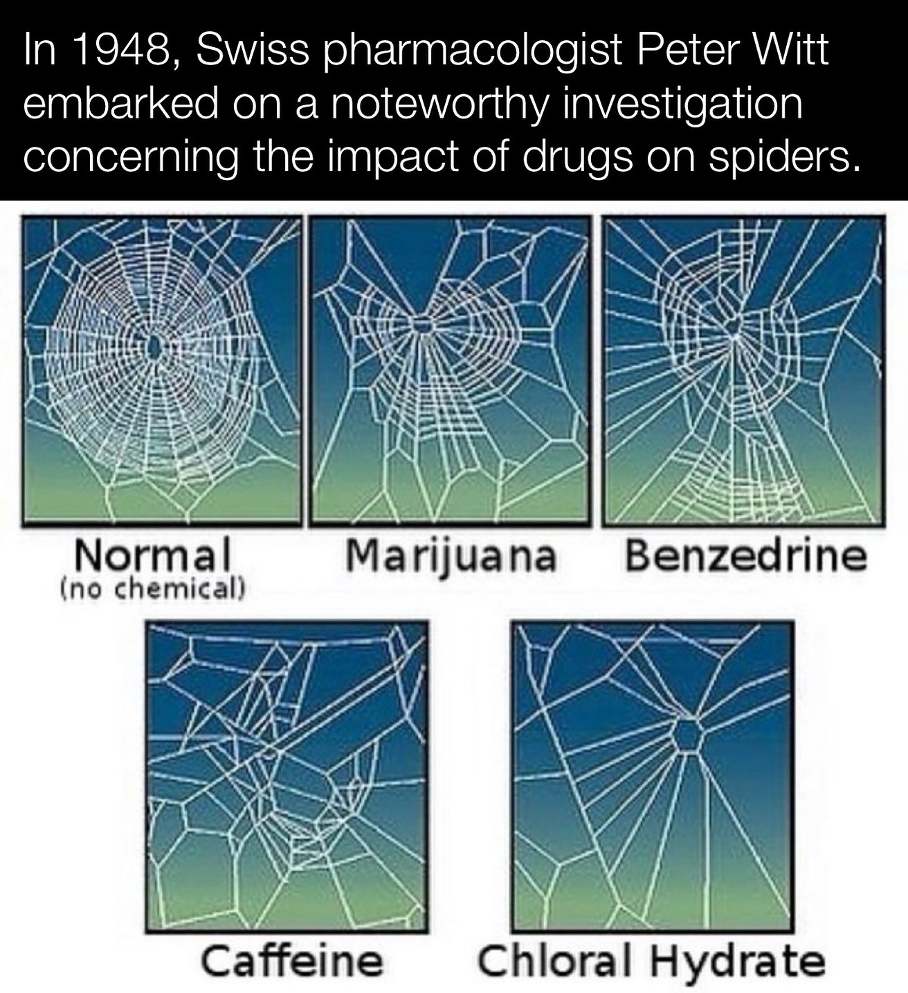 Historyinmemes - His study involved a series of experiments wherein he ...