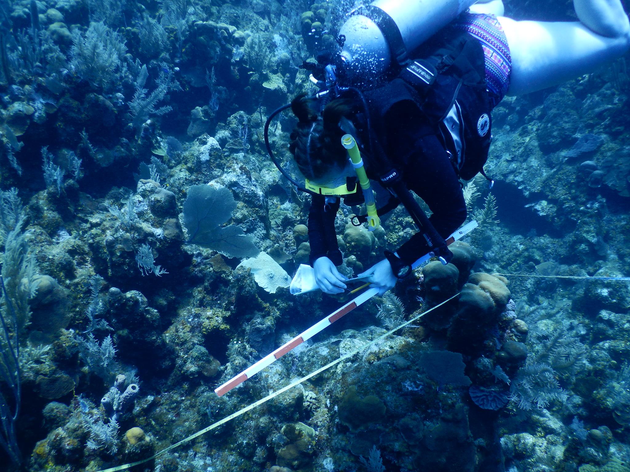 TIDES Texas Integrated Diving and Ecological Studies Laboratory | Waco TX