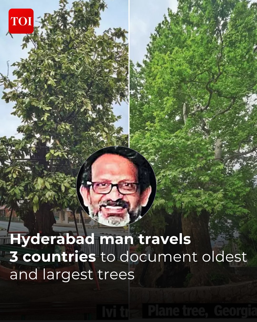 The Times - Taking his quest to document oldest and largest trees to ...
