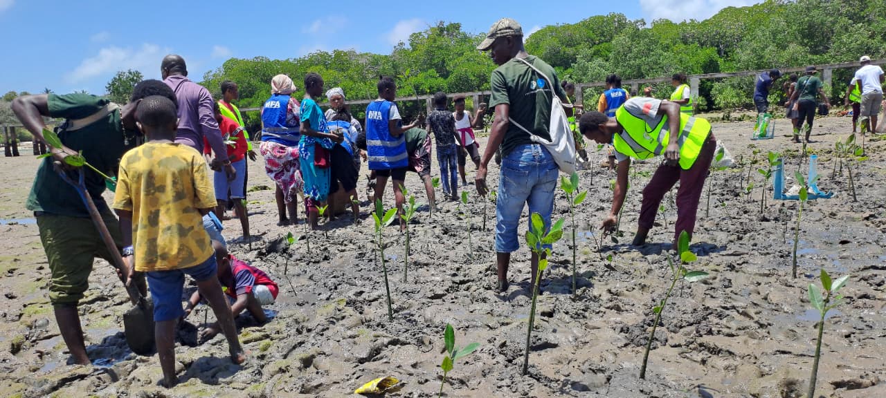 Mtwapa Maweni... - Mtwapa Maweni Turtle Conservation Project