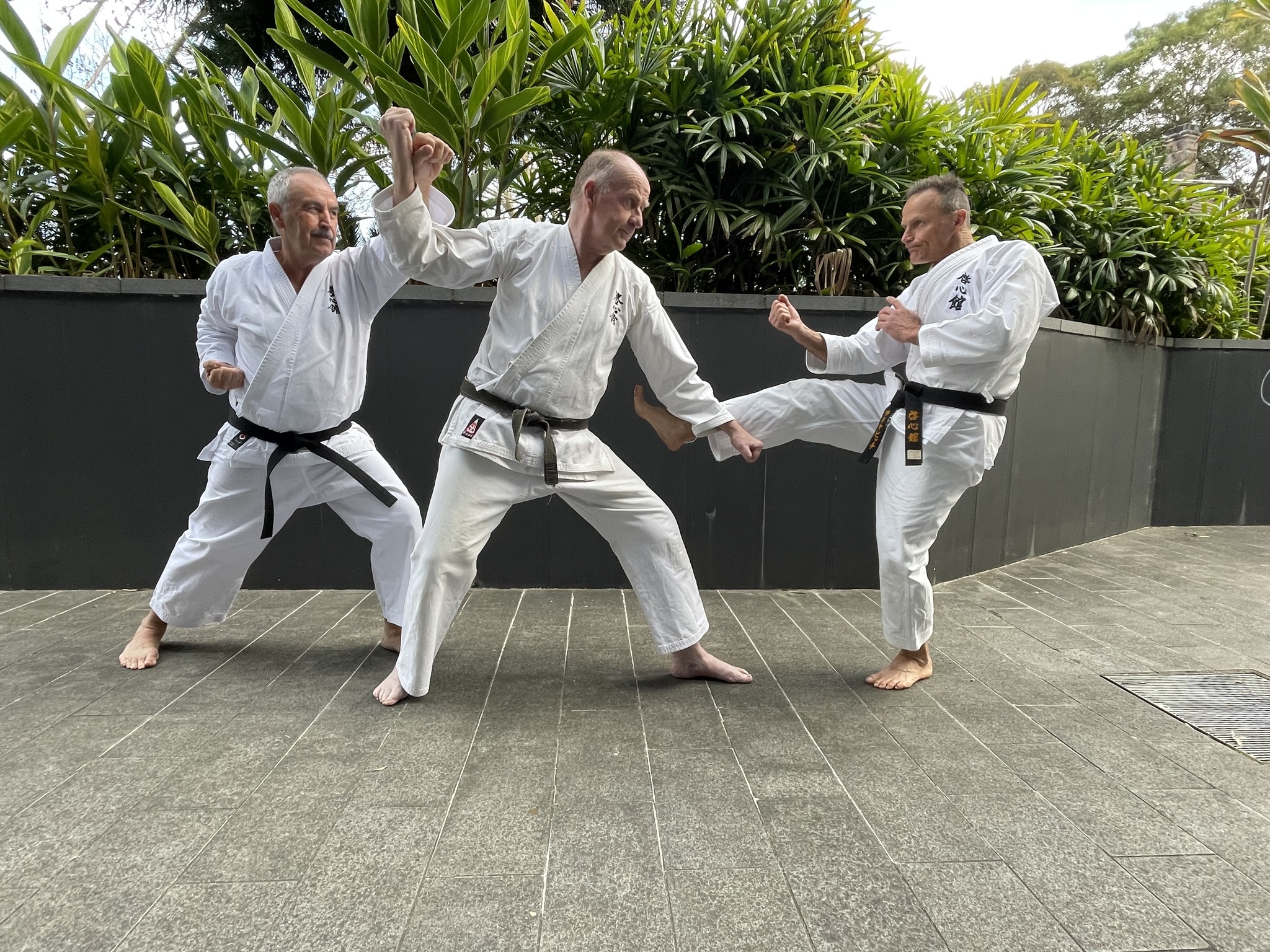 Kei Shin Kan Gold Coast | Gold Coast QLD