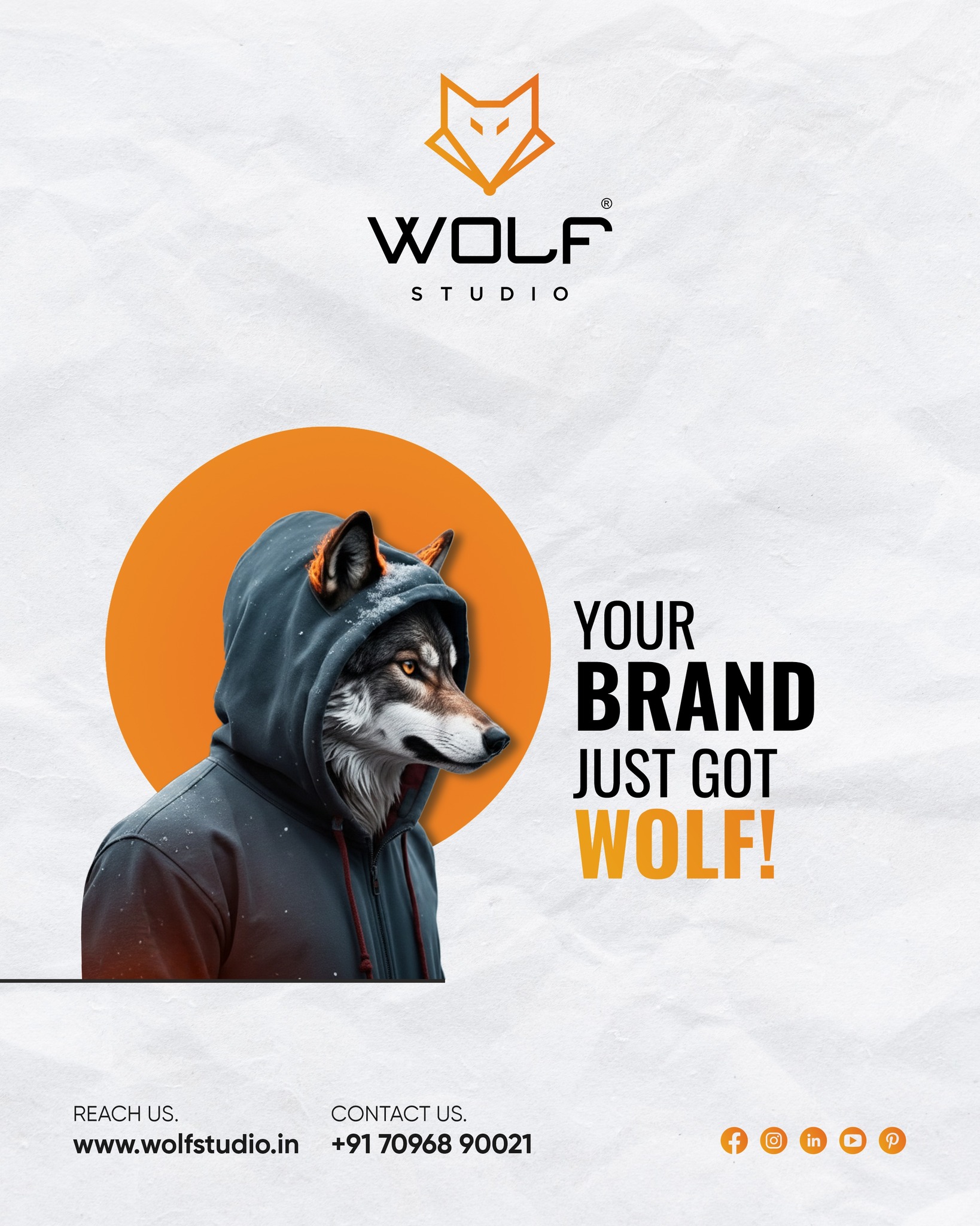 Wolf Studio | Rajkot