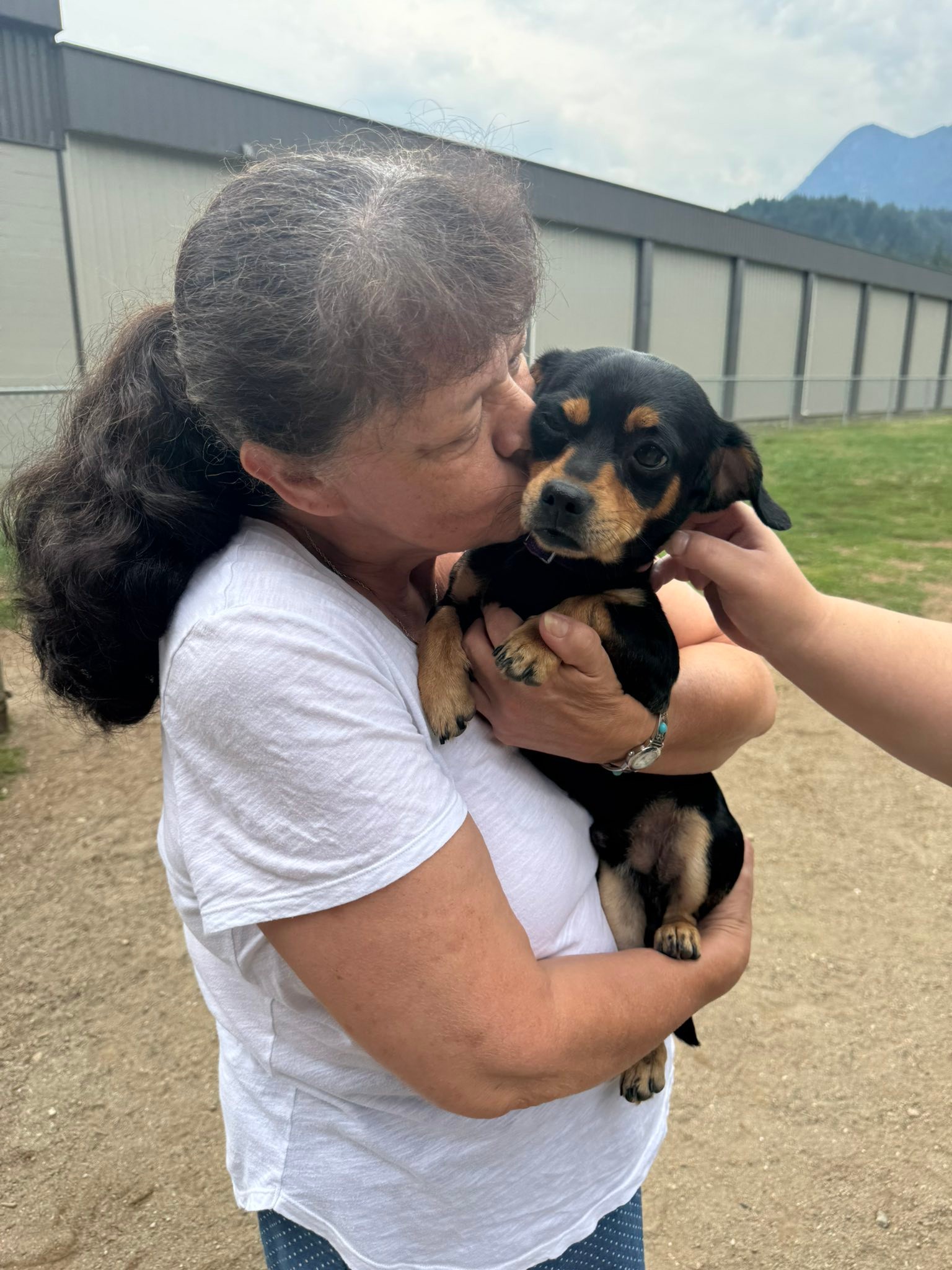 Our Last Hope Animal... - Our Last Hope Animal Rescue Society