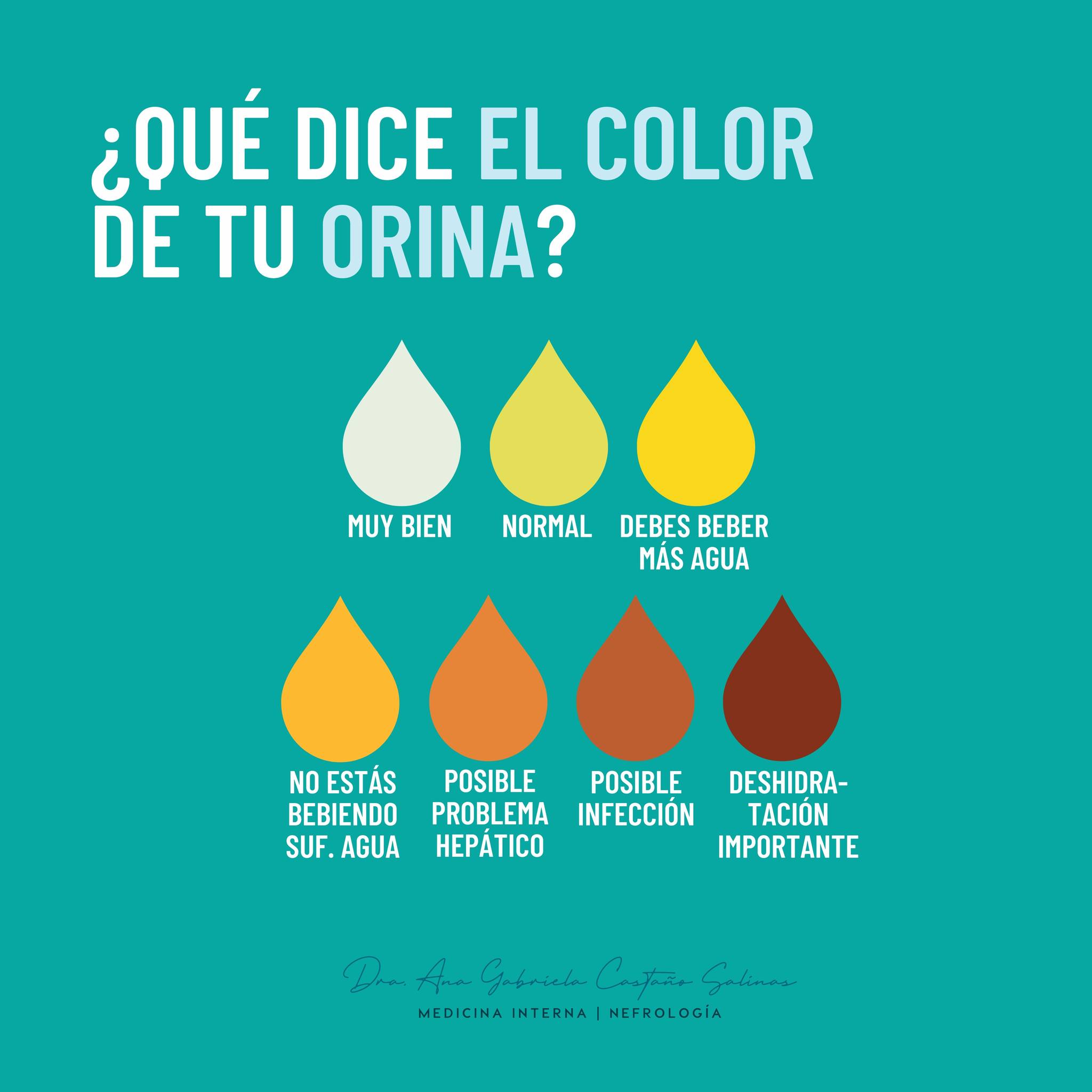 Nefróloga Gabriela Castaño - El color de la orina sirve para ...