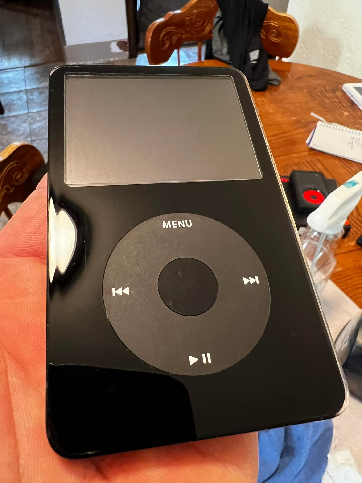 iPod Video with iSkin Evo3 case