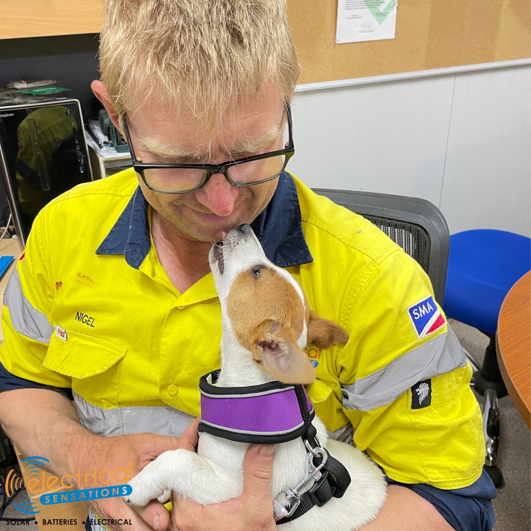Image showcasing Introducing our latest recruit,... - Electrical Sensations