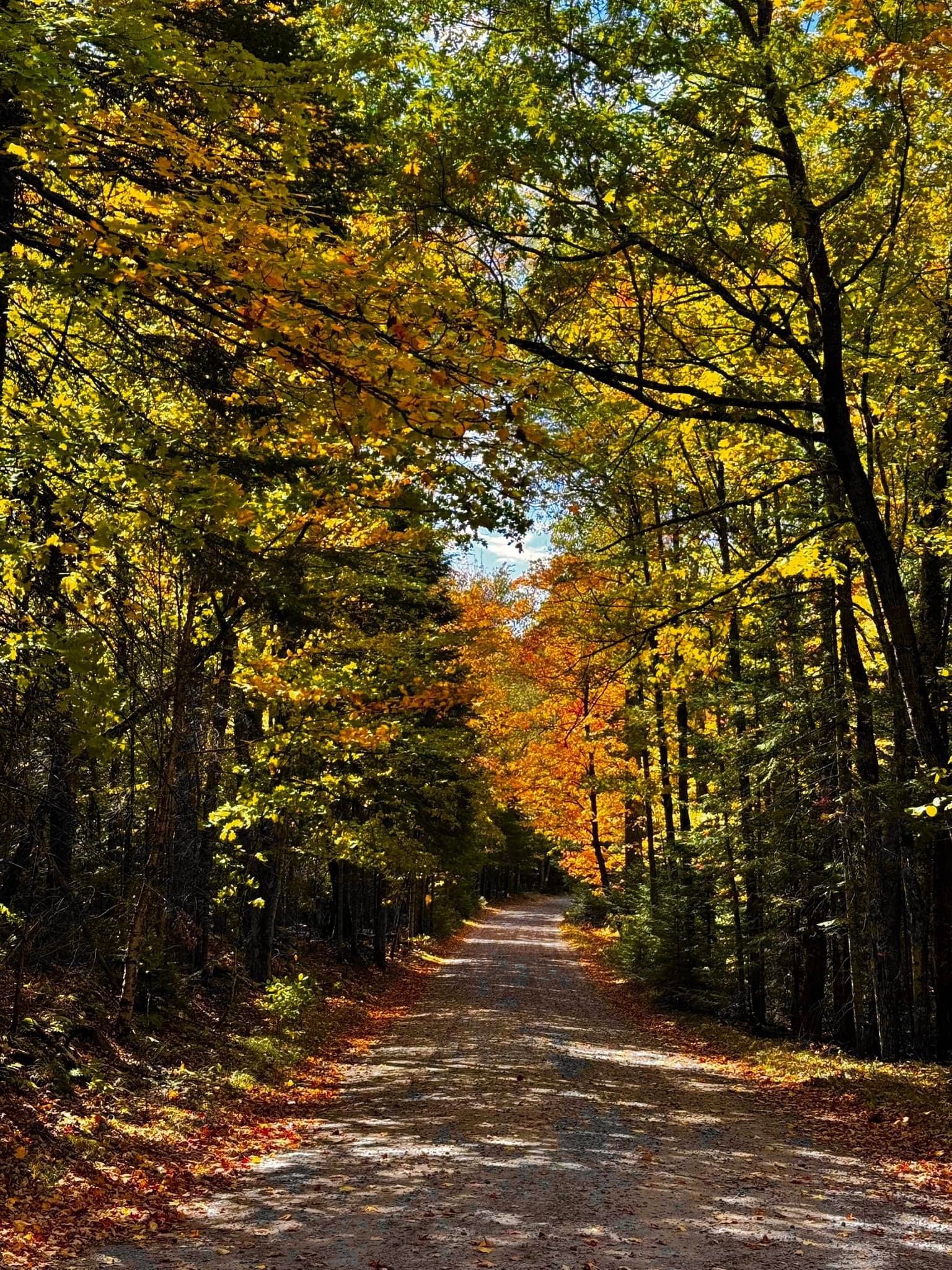 Land O' Lakes Nature RV Resort | Land O' Lakes WI