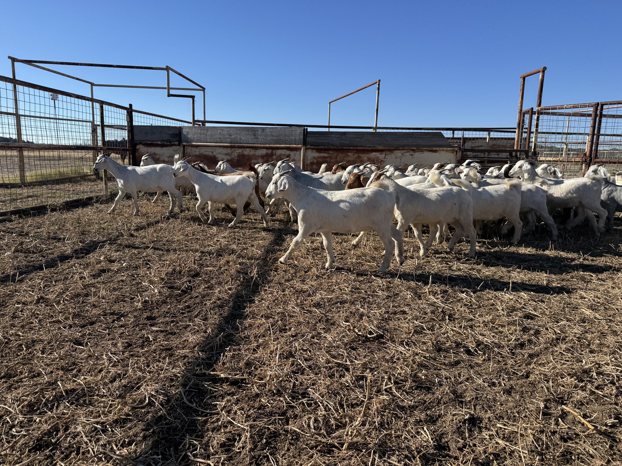H-H Ranches, LLC
