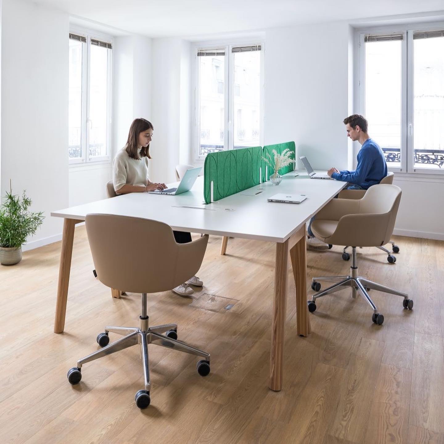 Minca - Vos bureaux... - Minca - Vos bureaux en Flex Office