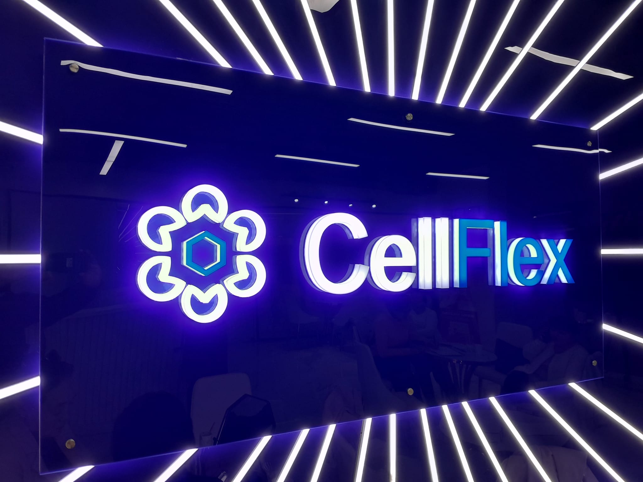 Cellflex- Гишүүдийн сургалтын групп | Facebook