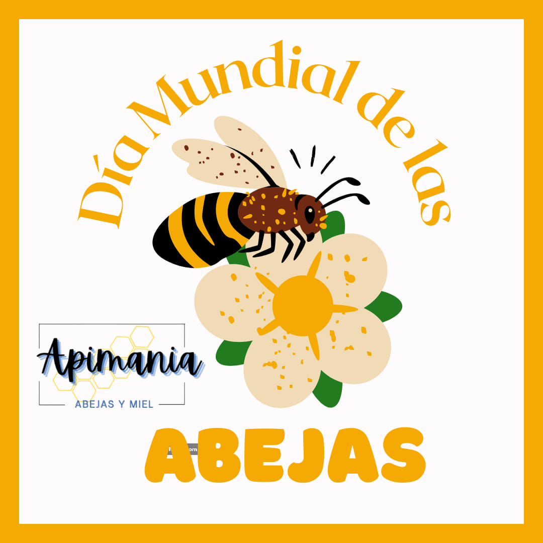 🐝 Día Mundial de las Abejas 🐝... - Apimania Abejas Y Miel