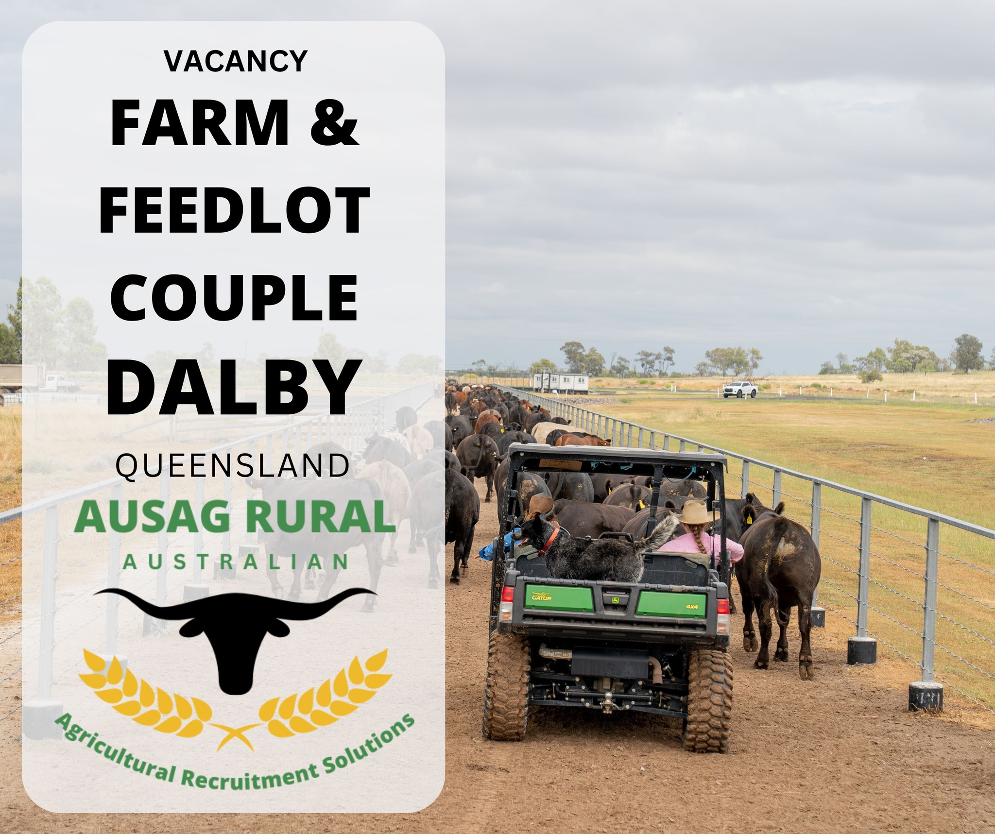 AUSAG - FARM & FEEDLOT COUPLE, DALBY QLD Looking for a hands-on role ...