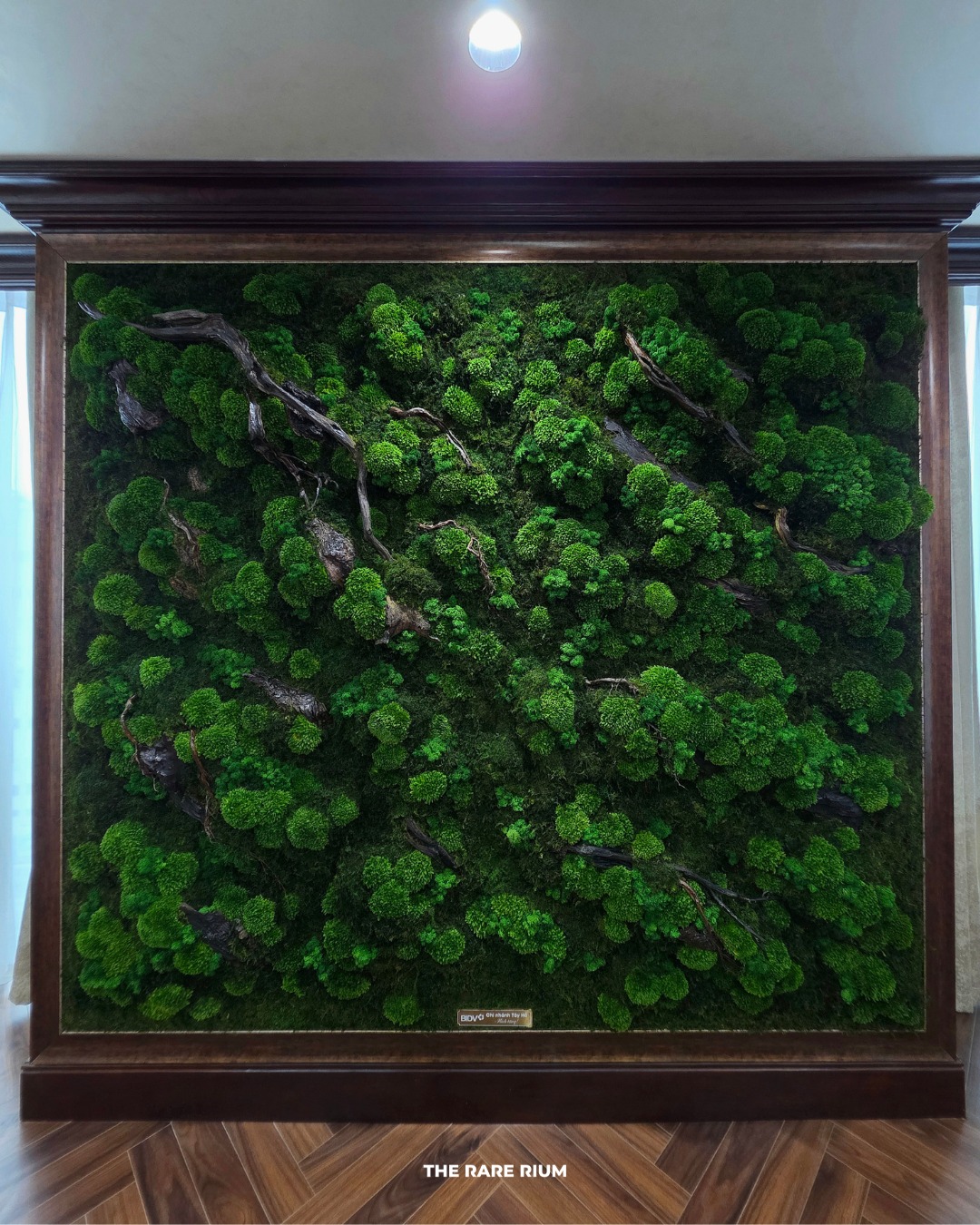 The Rare Rium - Plant &... - The Rare Rium - Plant & Moss Art