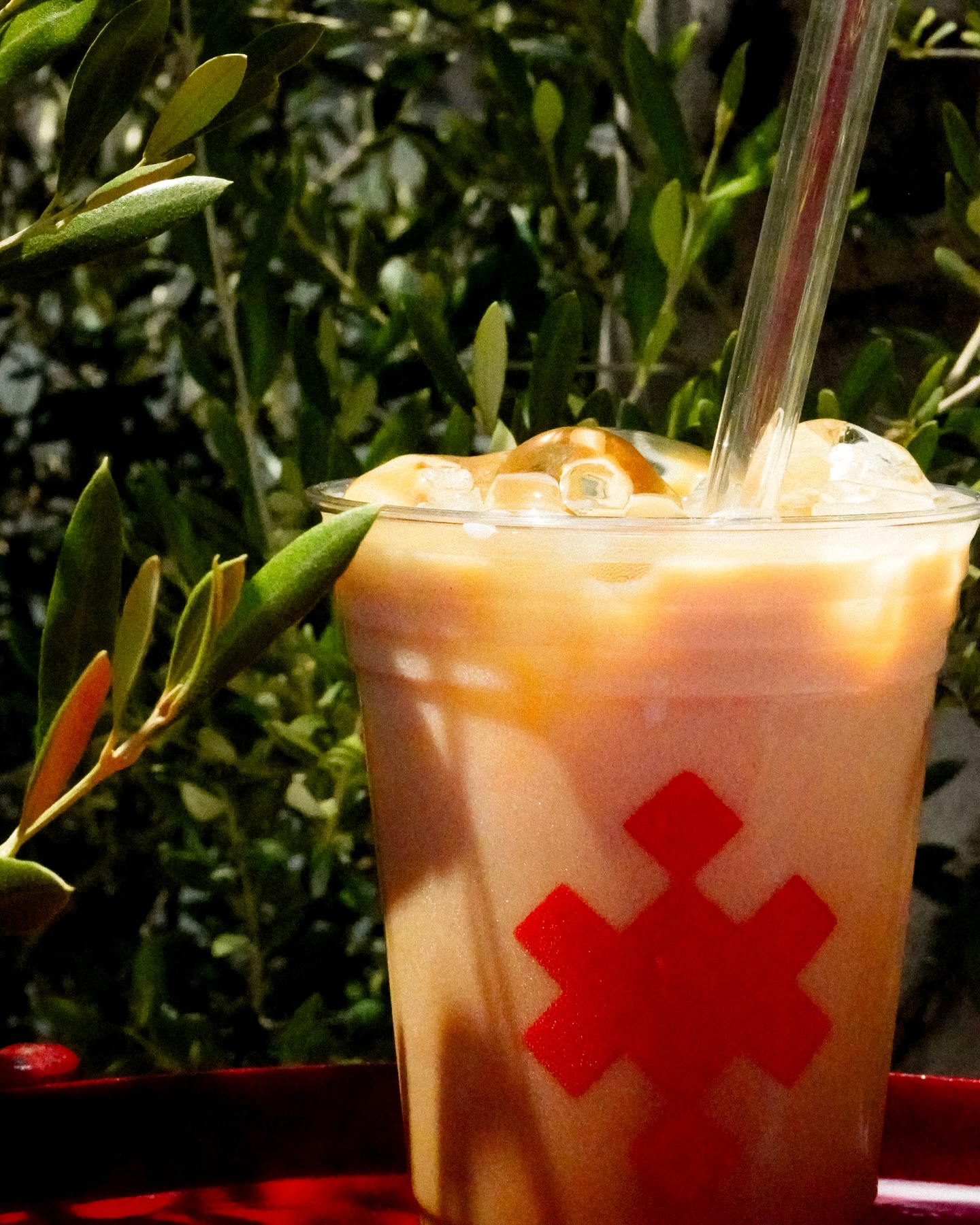 Coralillo Café | Matamoros