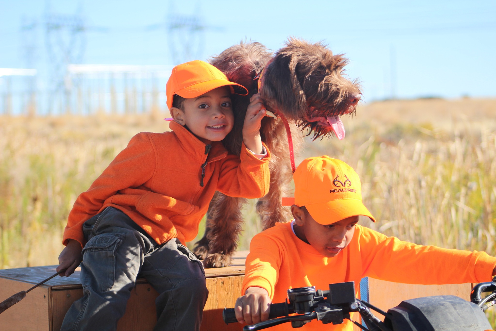 Iron Rod Gun Dogs