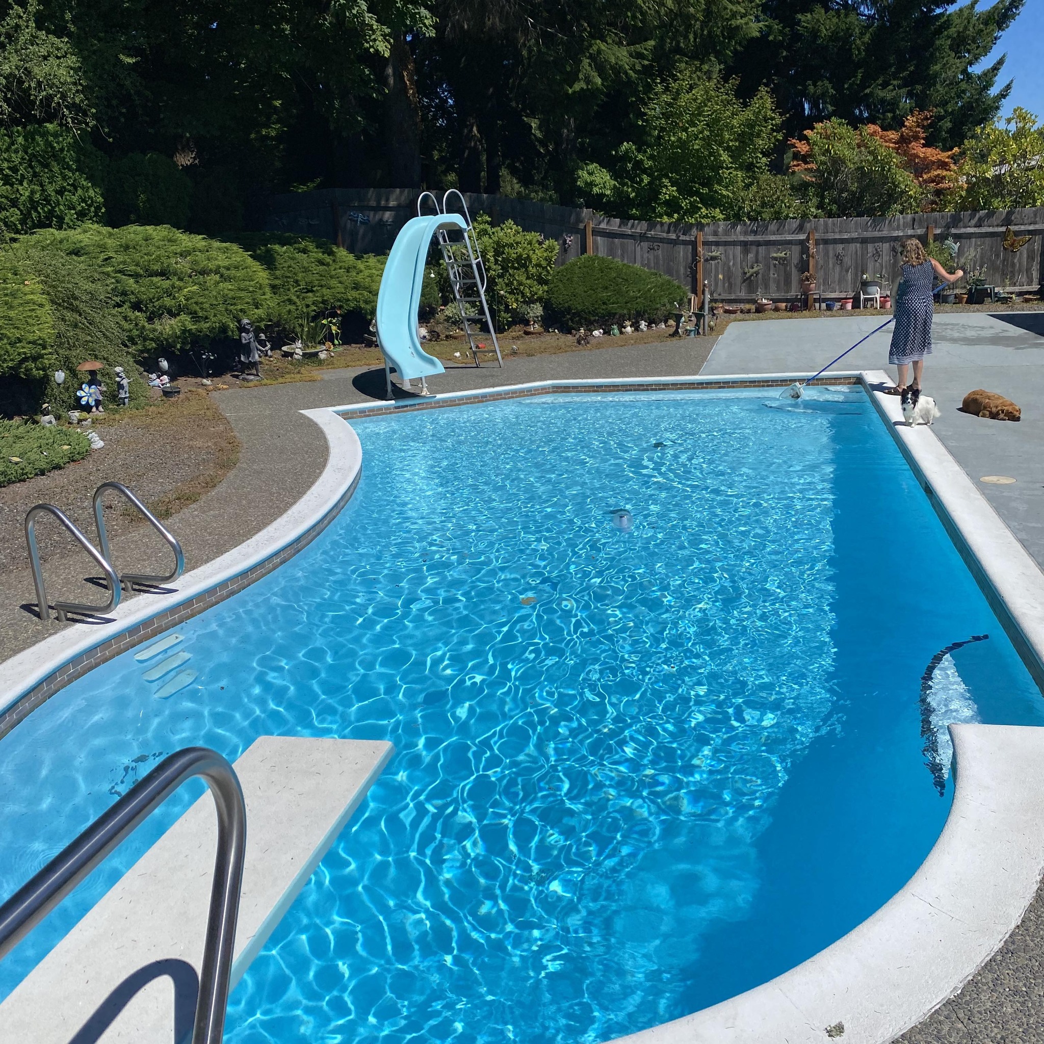 The Peterson Pool And Resort | Bremerton WA
