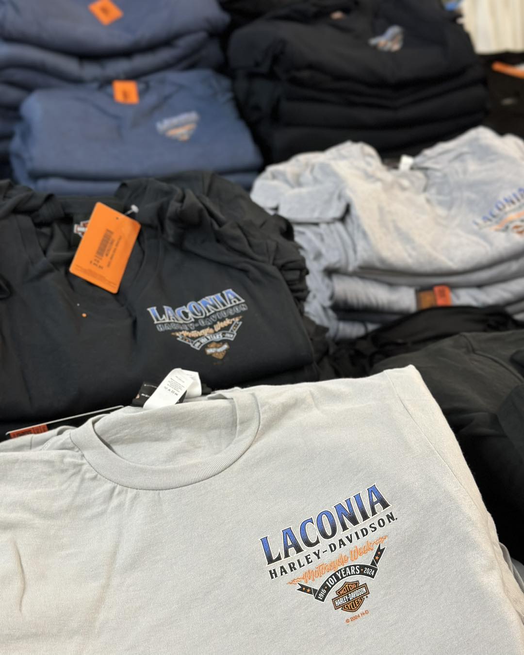 This ain't no tease. Just lots of tees. 👕 Your Laconia & White