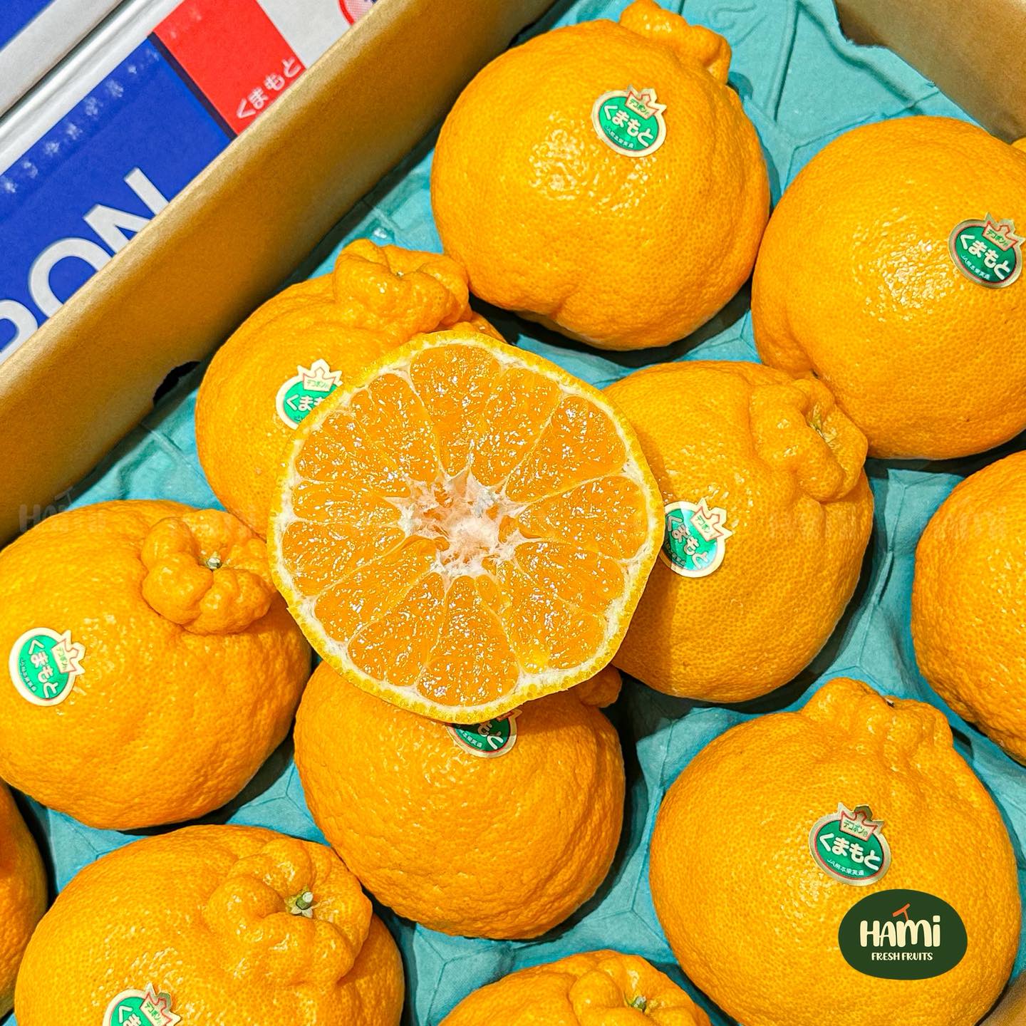 Japanese Dekopon デコポン 🇯🇵 🍊 Dekopon from Kumamoto Prefecture