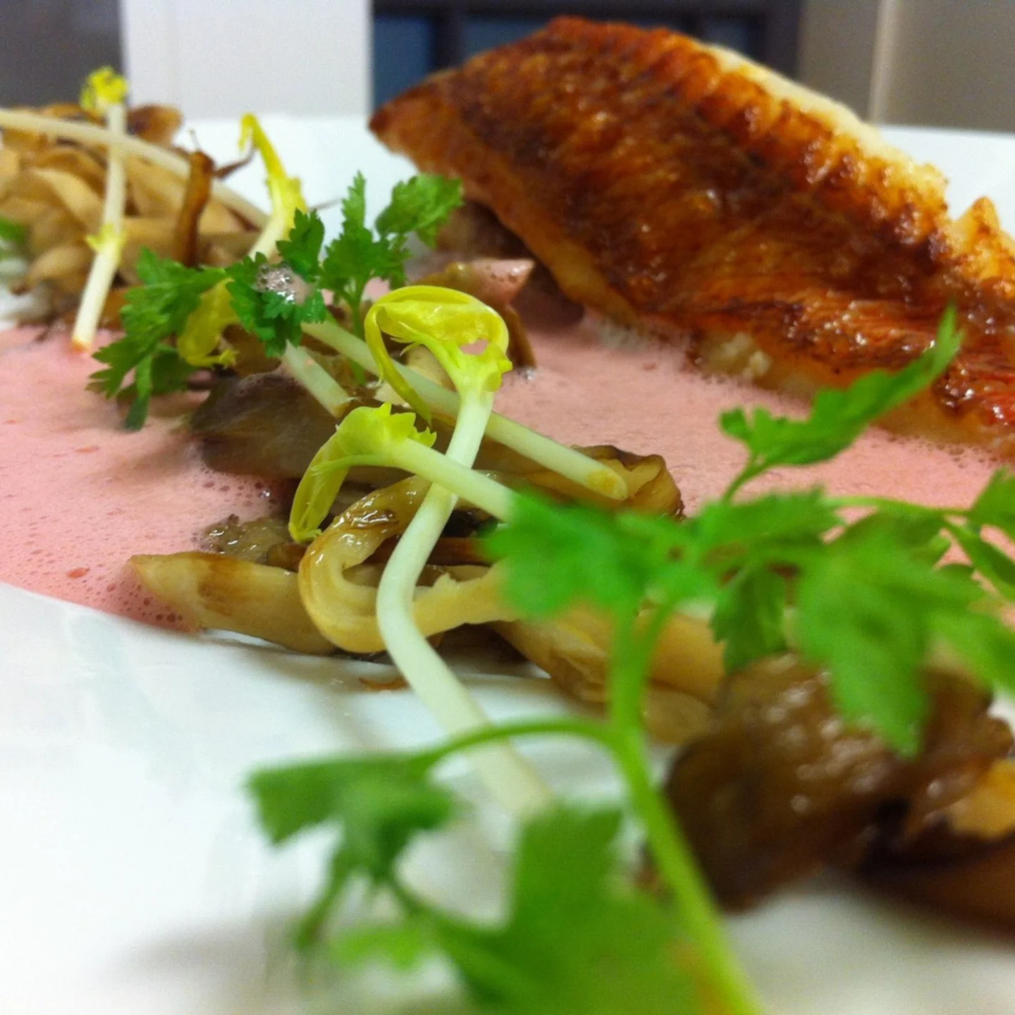 Jo'encuisine | La Rochelle