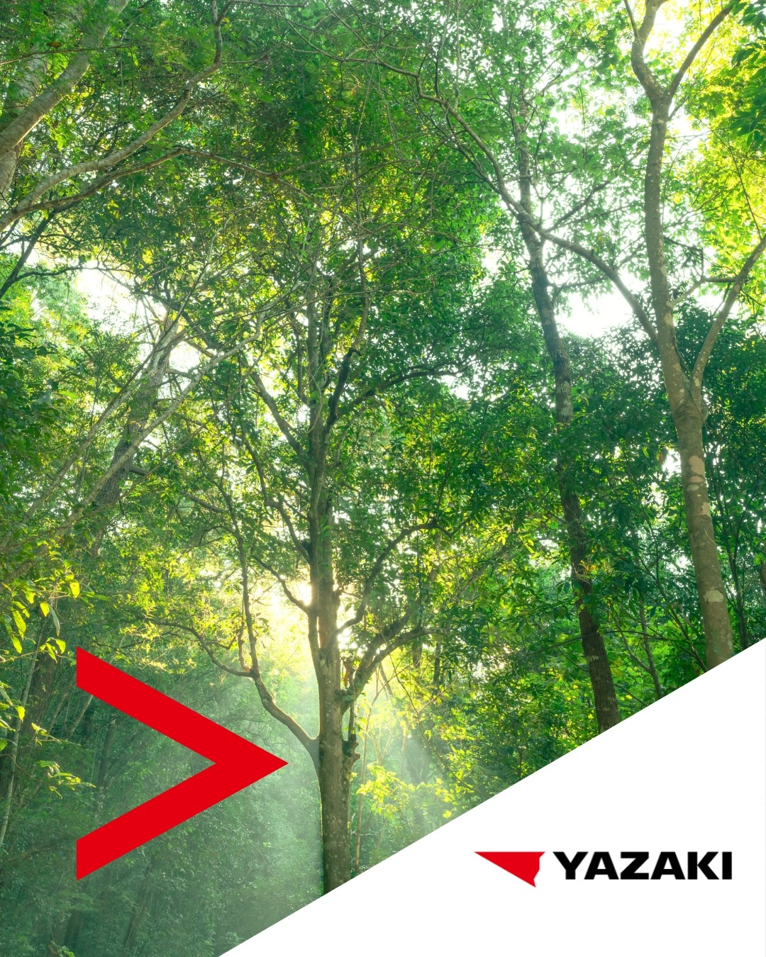 Yazaki - Yazaki EMEA is committed to achieving carbon neutrality by ...
