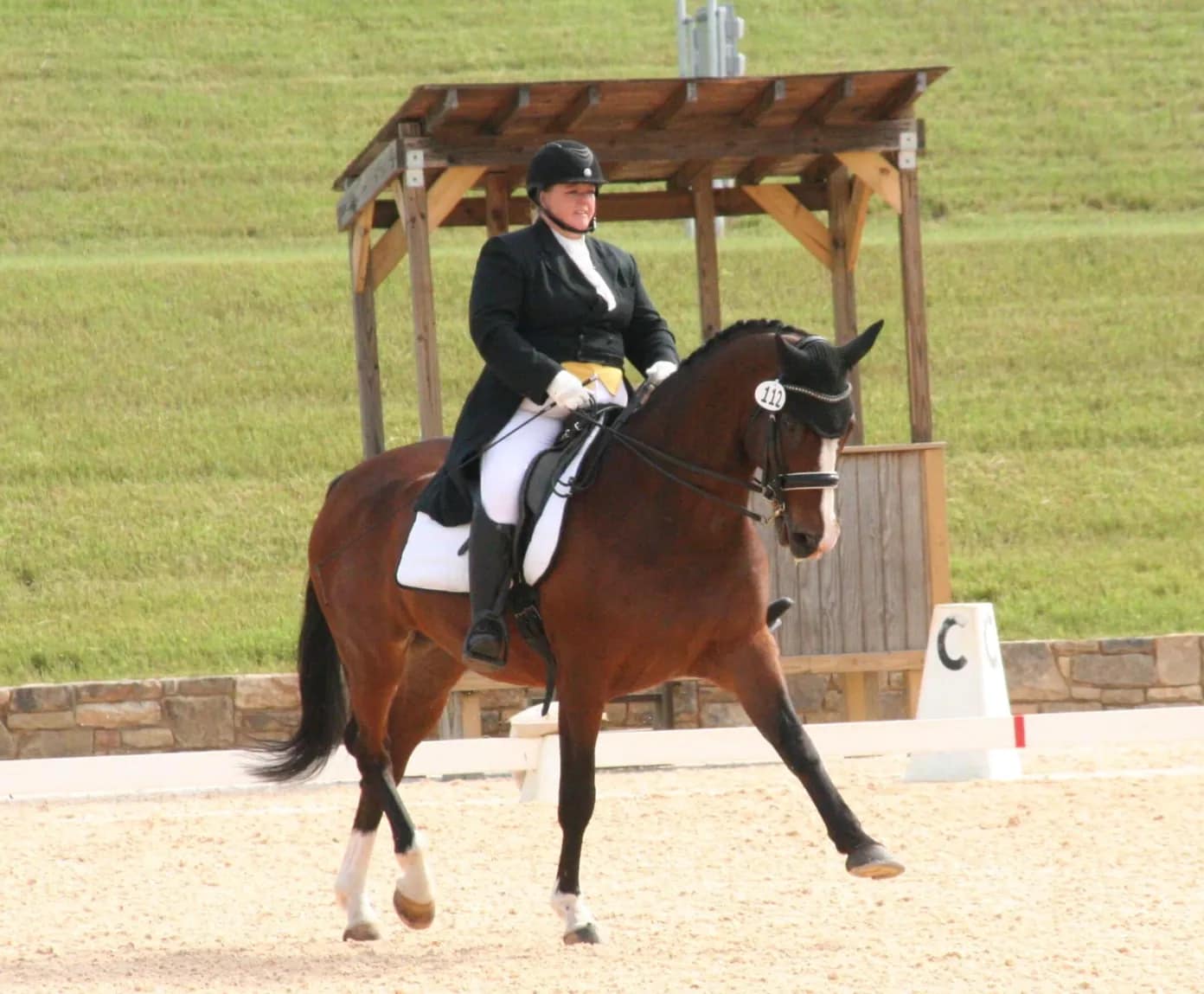 United States Dressage Federation Official Page - We are celebrating ...