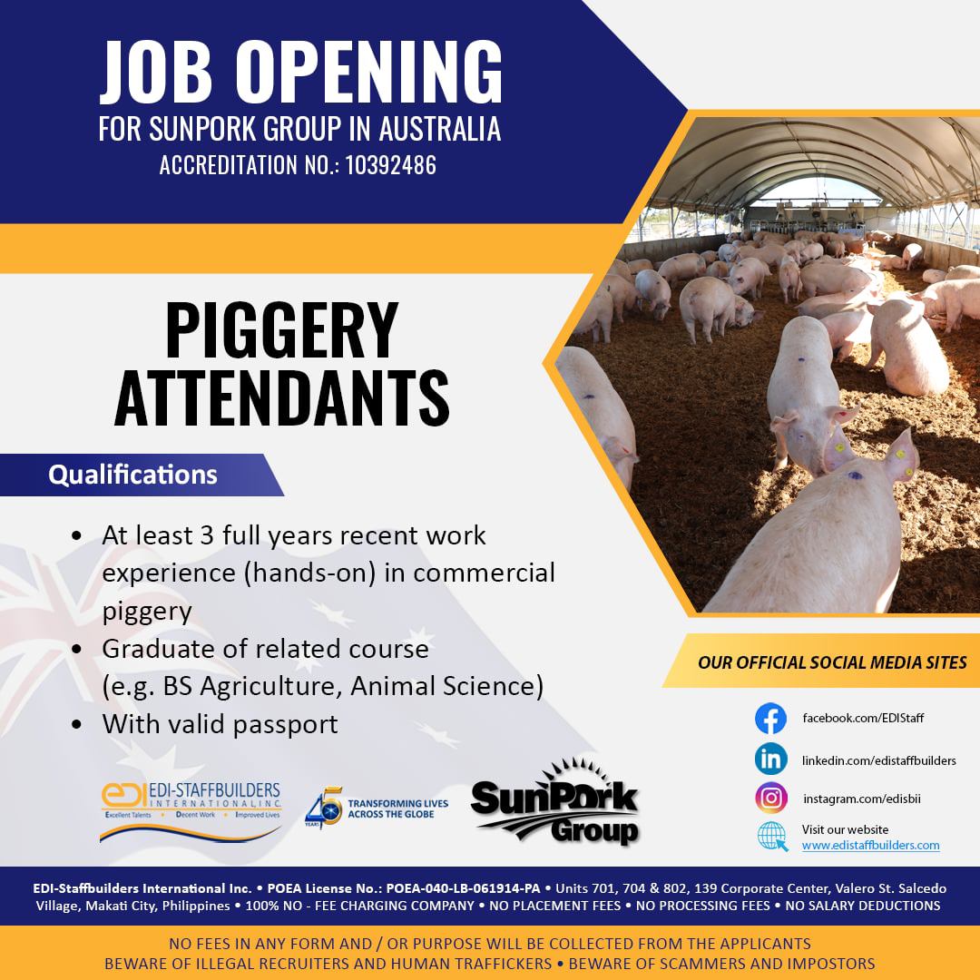 EDI - 🐷 Piggery Attendants, Australia Wants You! Be part of Australia's ...