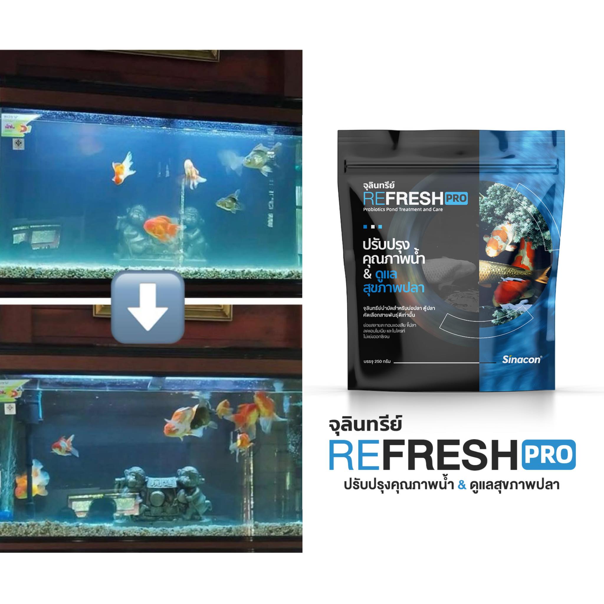 Refresh Pro จุลินทรีย์น้ำใส บ่อปลา ตู้ปลา