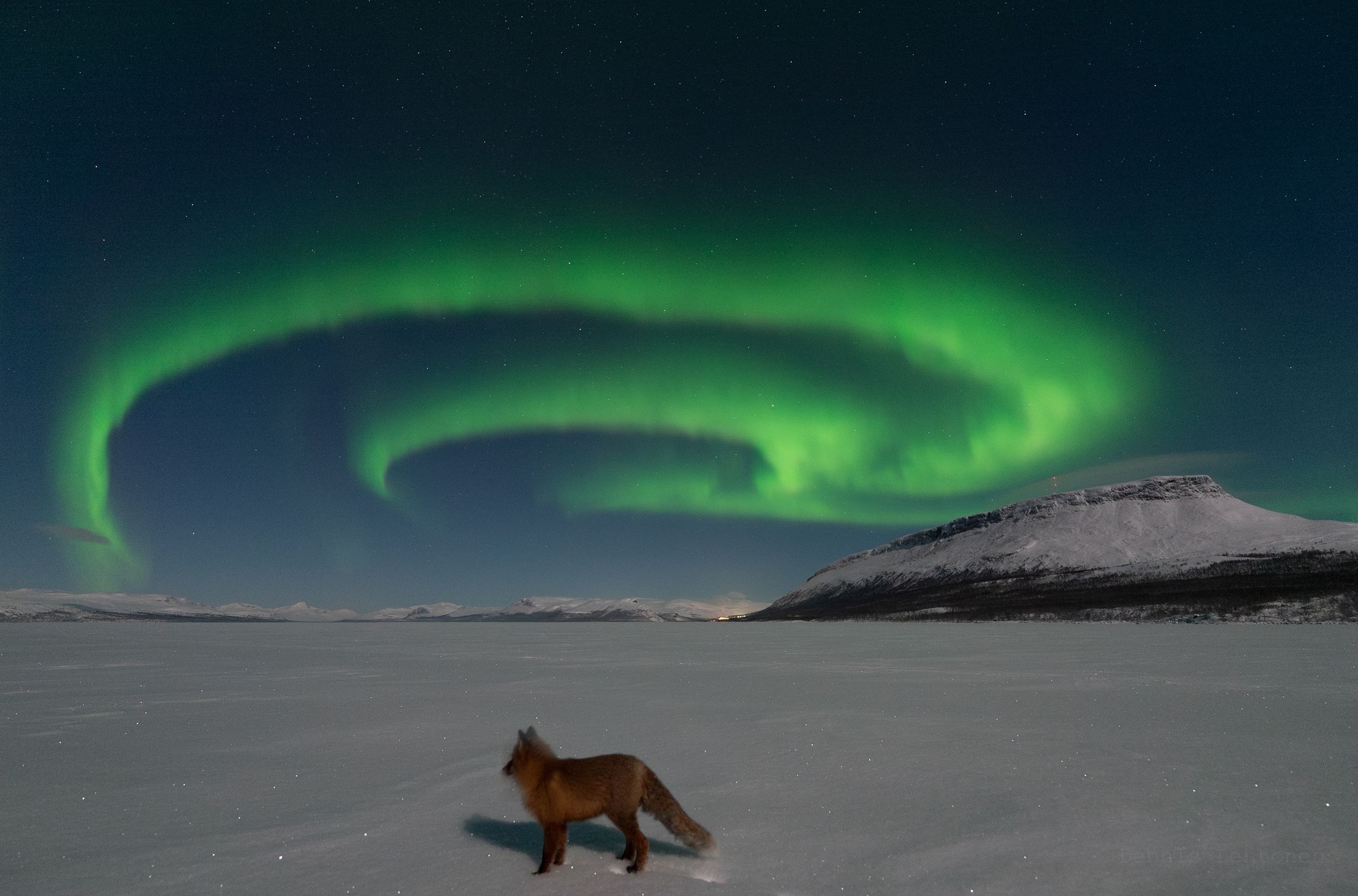 Revontulet (“fox fires”) dancing in the sky According to Finnish
