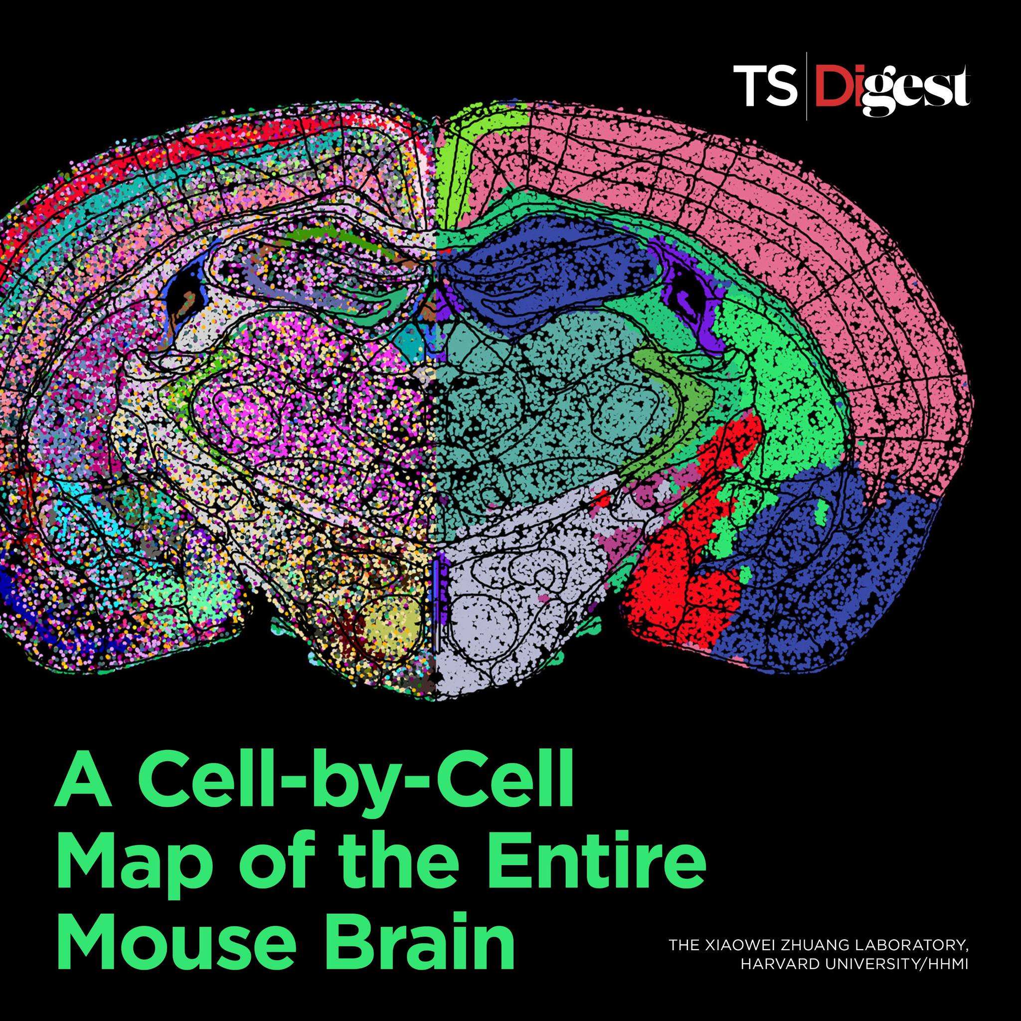 The Scientist - A network of researchers charted a...
