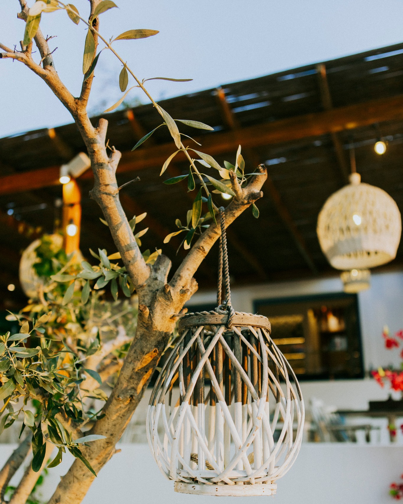 Roots Restaurant & Bar