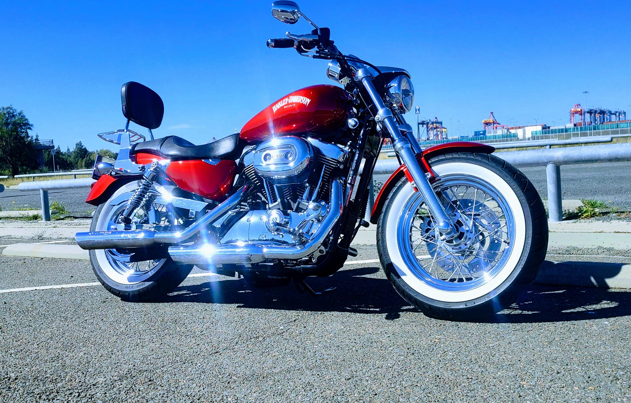 My XL1200c. What do you think?