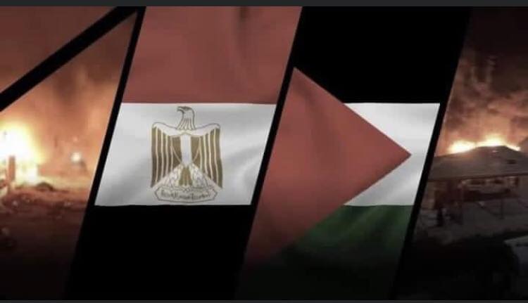القلب النابض | Cairo