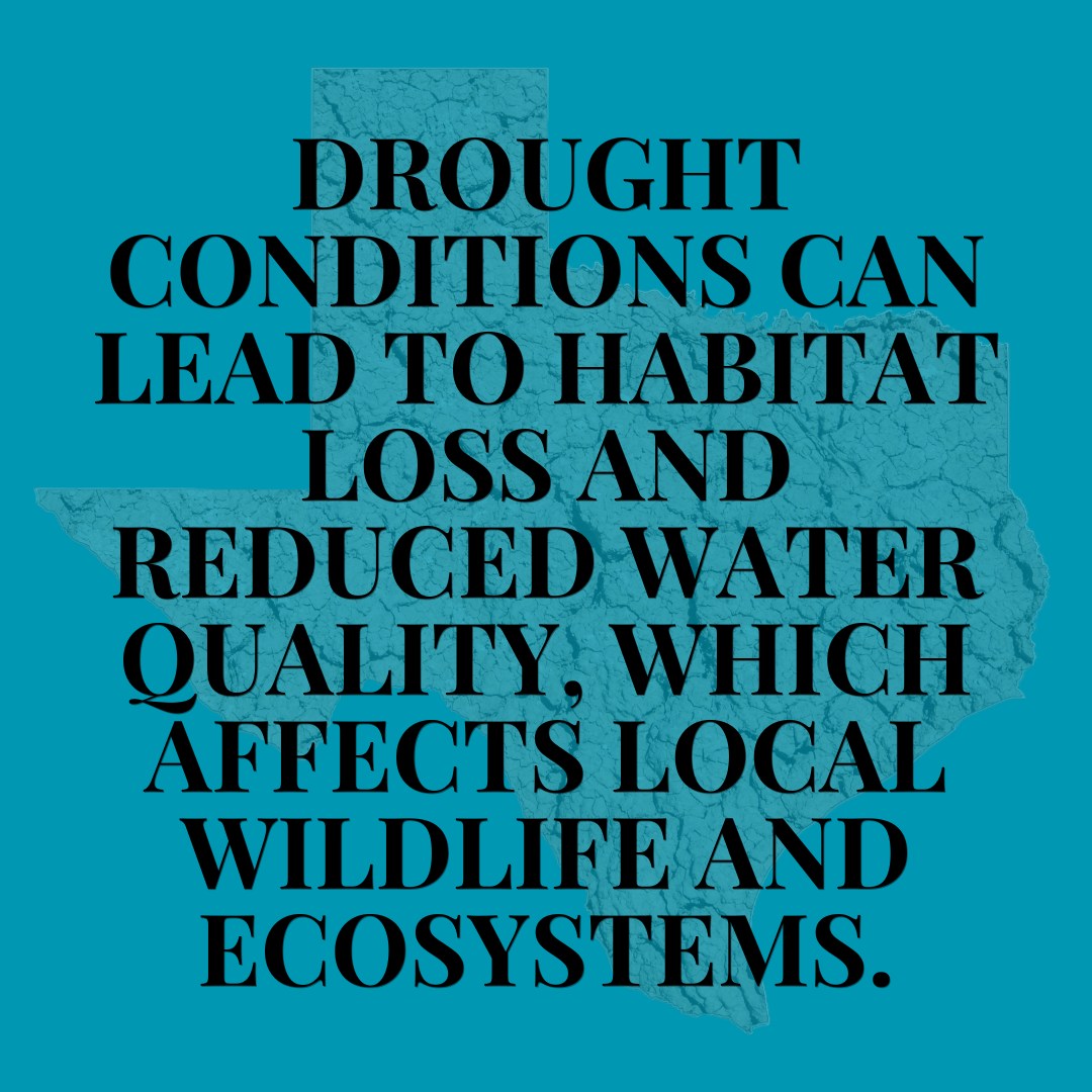 Innovative Water Solutions LLC | Austin TX