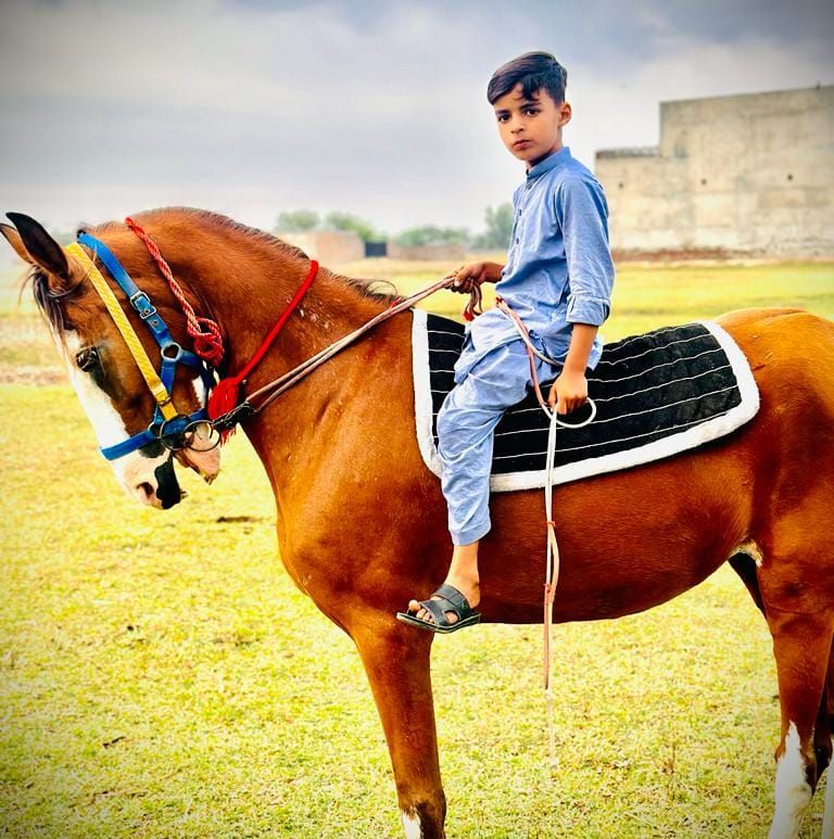 Rasib Choudhry