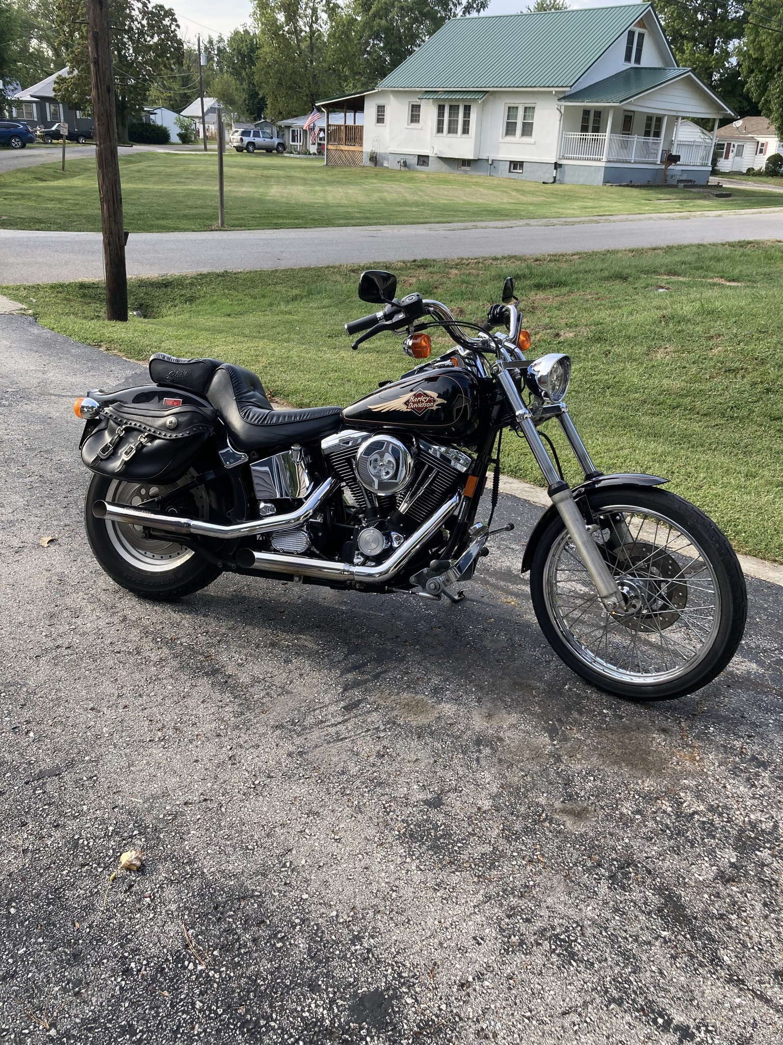 Bought a 1997 FXSTC about 6 weeks ago. I