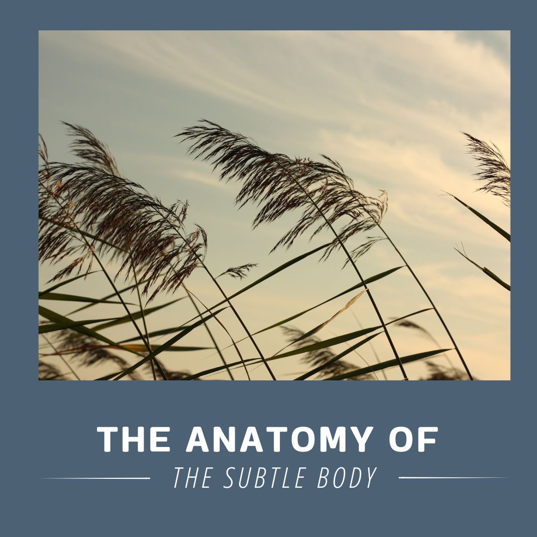 Night - The Anatomy of the Subtle Body The subtle body has four main ...