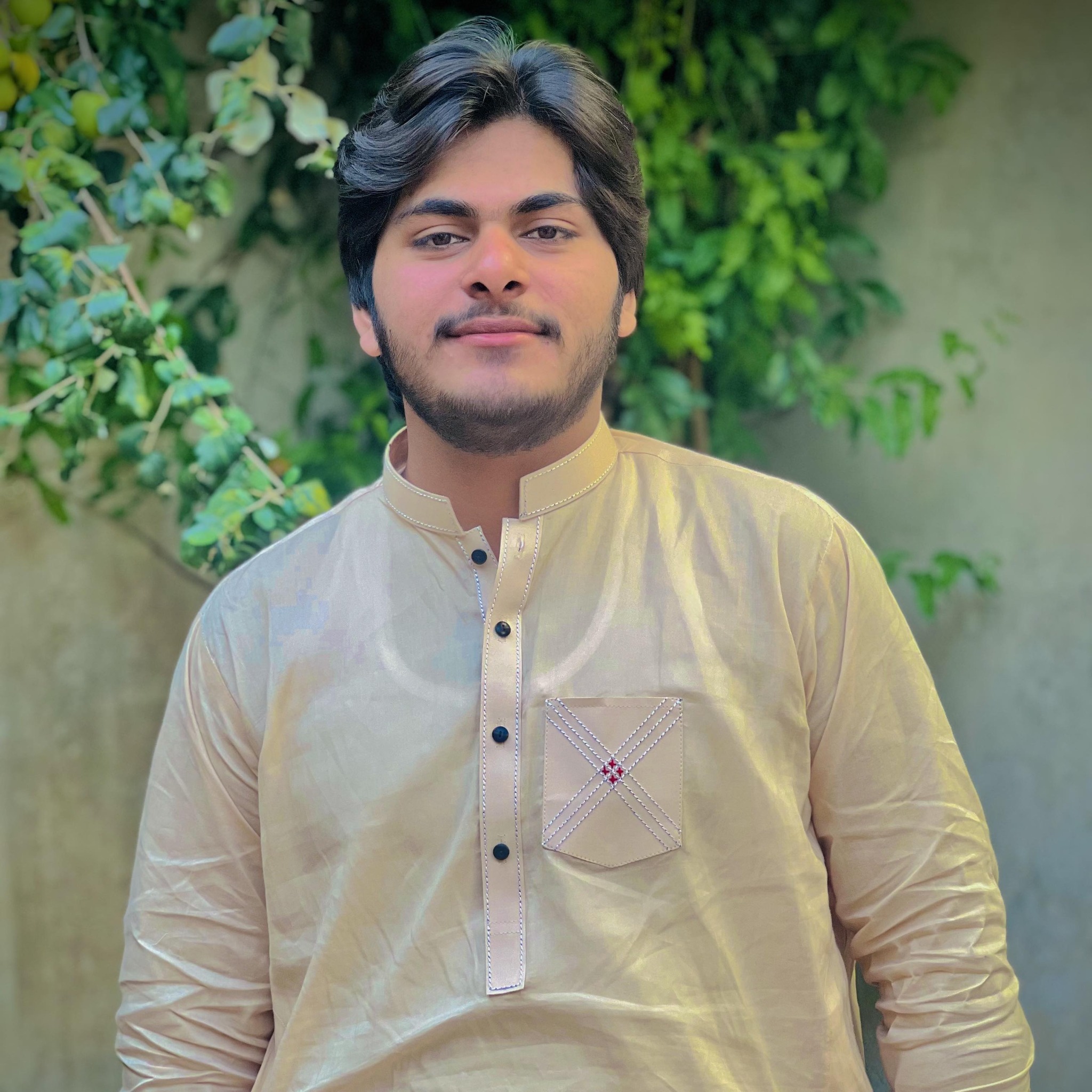 Adeen Malik
