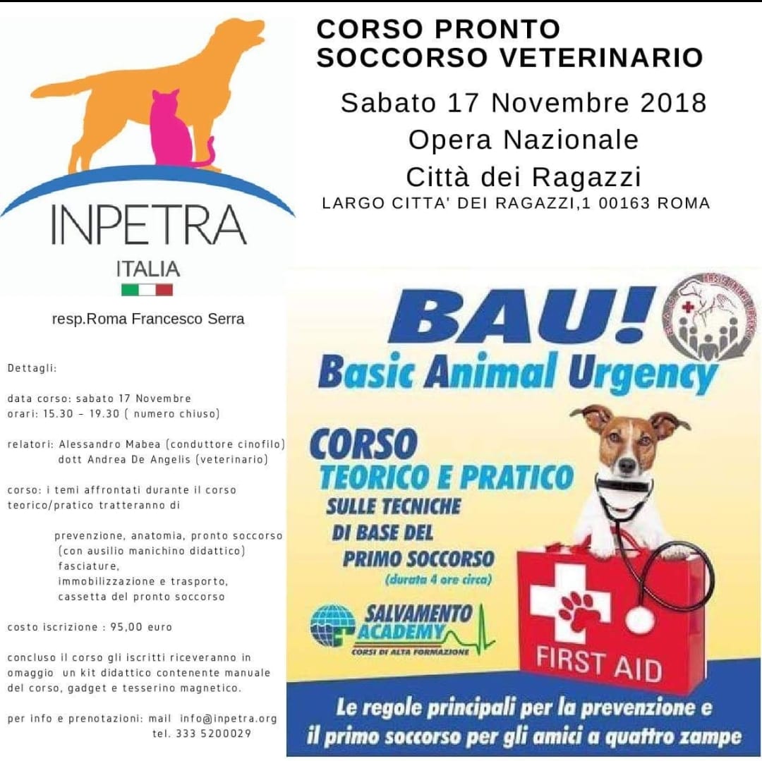 All For Life Bau Basic Animal Urgency Posts Facebook - 