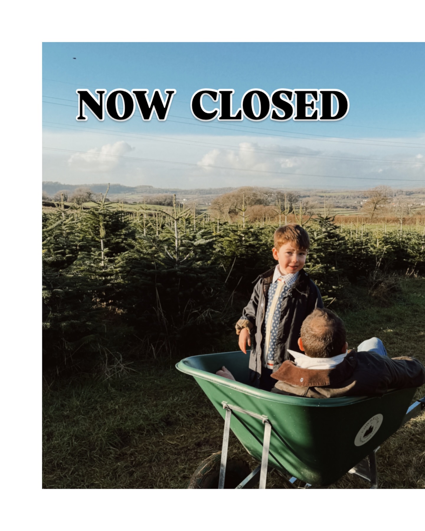 Cowbridge Christmas Tree... - Cowbridge Christmas Tree Farm | Facebook