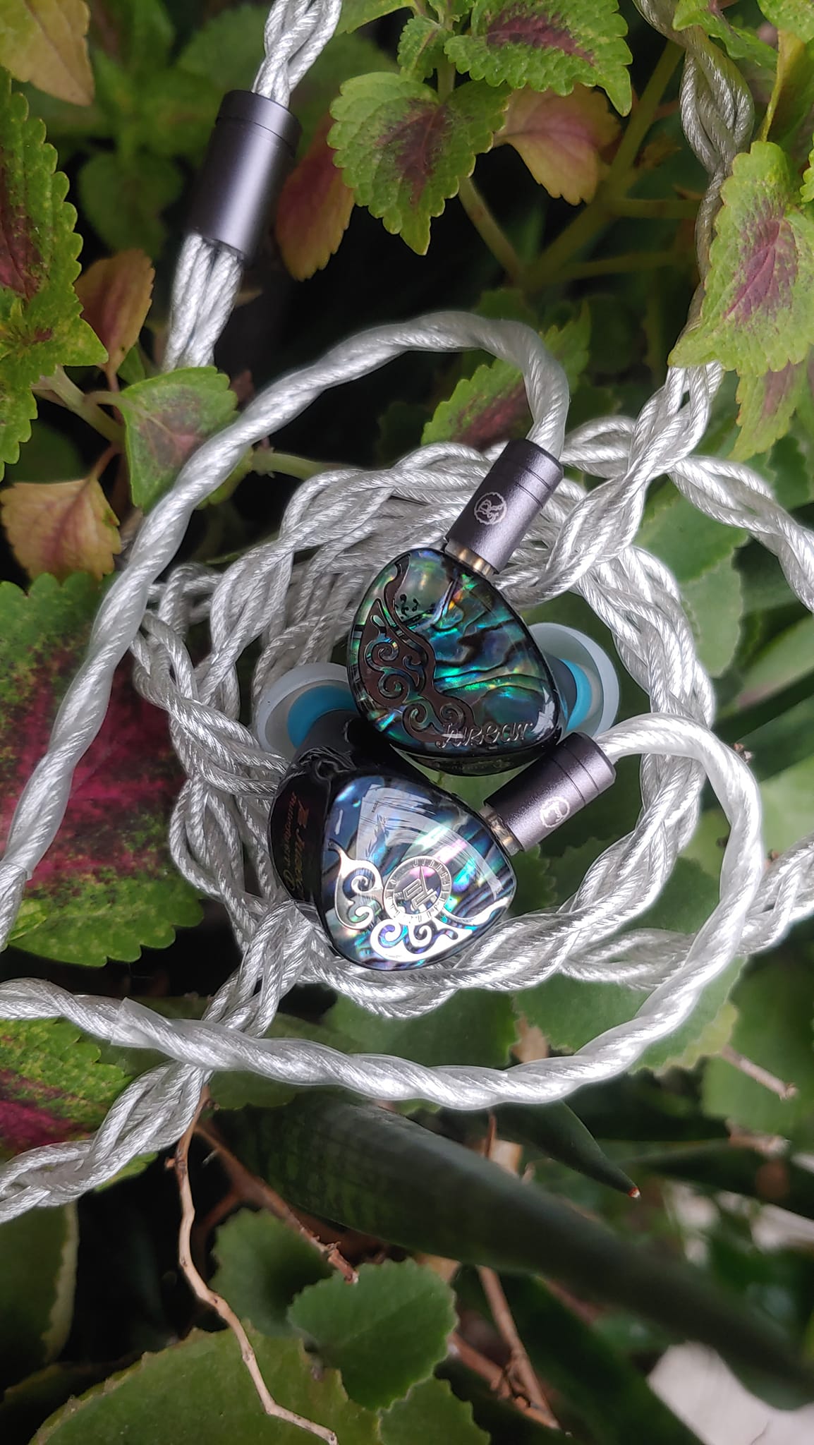 Juzear Dragonfly 81T earbuds review and comparison to Butterfly 61T