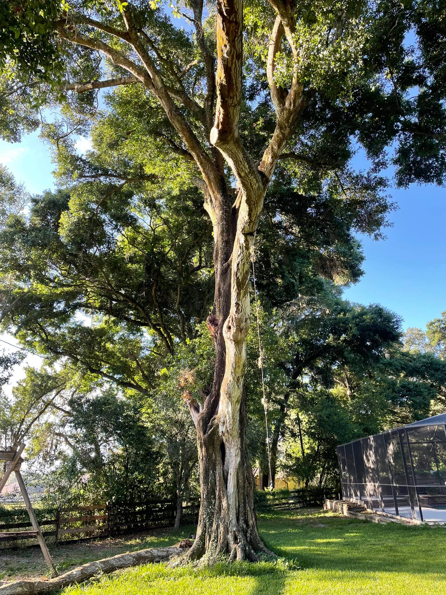Hi-Point Tree Service - Home