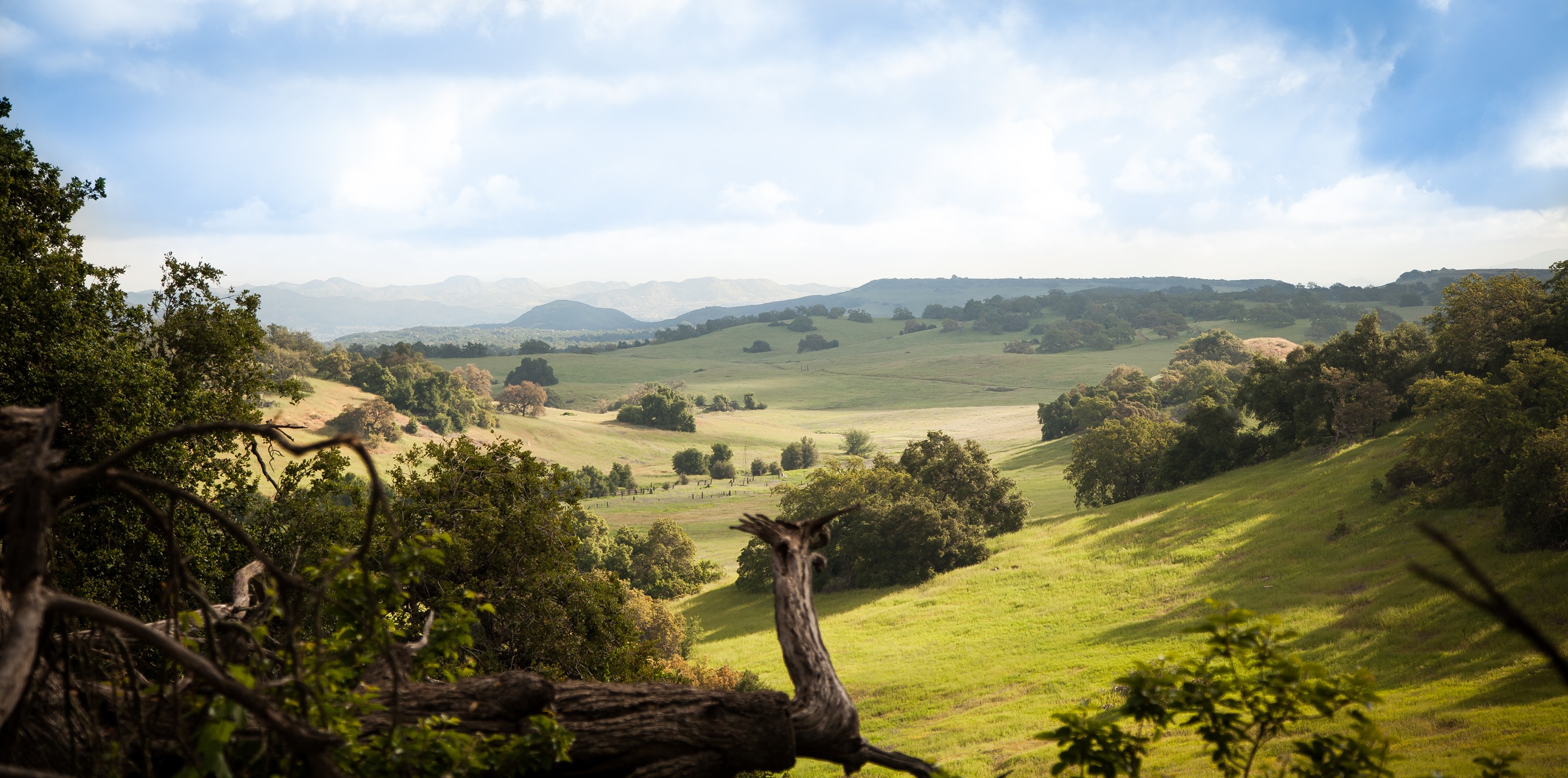 Run Hike Ride Santa Rosa Plateau