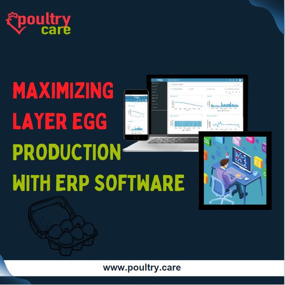 PoultryCare - 🐔🌾🥚🐔 Unlock the Secrets of Egg Production:... | Facebook