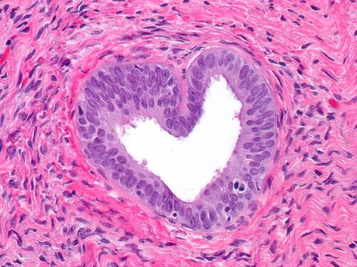 SURGICAL PATHOLOGY | Face skin lesion | Facebook