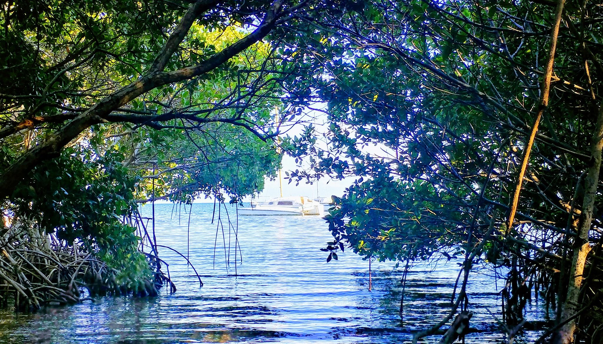 Belize Mobile Travel - #Belize reef is home to approximately 66 types ...