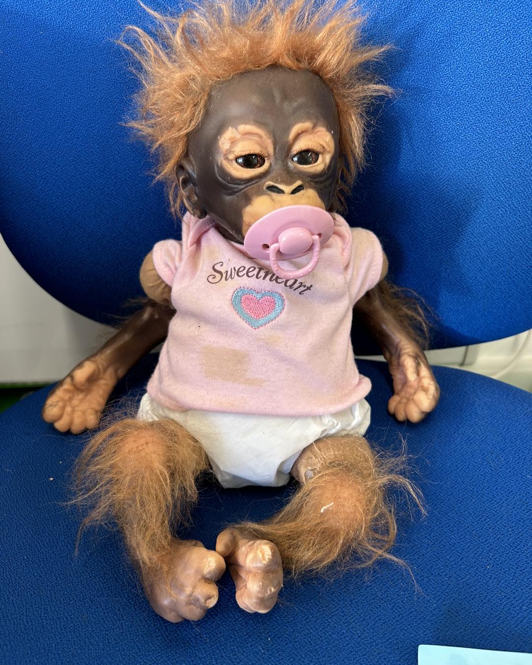 Ok, something slightly different! Little Umi baby orangutan by