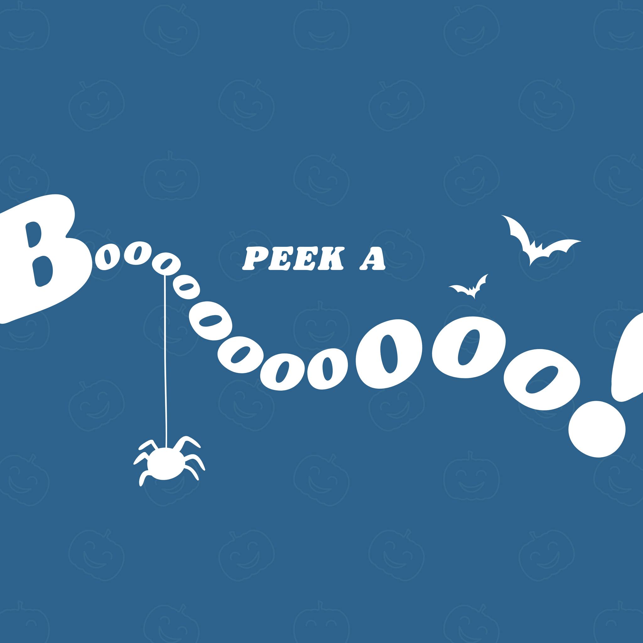 Peek-a-Boo Window Cleaning | Deltona FL